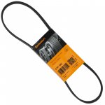 Keilrippenriemen CONTI-V MULTIRIB für...