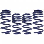 H&R 40 mm Tieferlegungsfedern Lowering Springs...