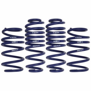 H&R 35/55 mm Tieferlegungsfedern für VW Sharan 7N Seat Alhambra