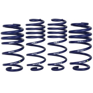 H&R Tieferlegungsfedern 30mm Achslast vorne bis 1100 kg Audi A4 B8 A5