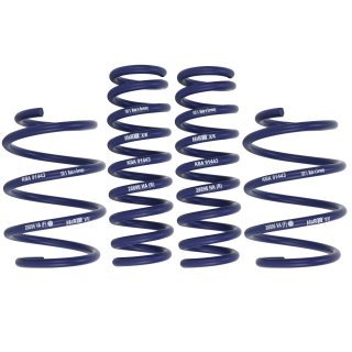 H&R Tieferlegungsfedern für BMW F20 F21 118d 120d xDrive F22 M235i M240i F23