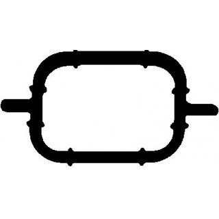 Dichtung Ansaugkr&uuml;mmergeh&auml;use BMW E87 E46 E90- E94 E39 E60 E61 E63 - E66 E83