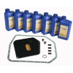 ZF Ölwechsel Kit 8700 002 BMW Alpina Jaguar Land...