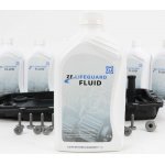 ZF Ölwechsel Kit 8700 252 für BMW...