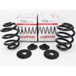 2x Lesjöfors verstärkte Federn Hinterachse bis...