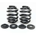 2 x Lesjöfors verstärkte Federn Hinterachse bis...