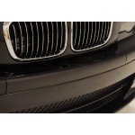 BMW Zierleiste vorn mitte ohne Nummernschild Unterlage...